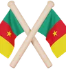 cameroon Flag