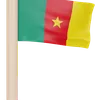 cameroon Flag
