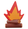 Camfire