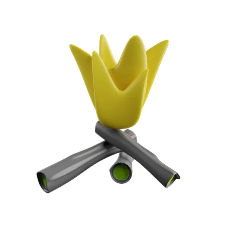 Camfire  3D Icon