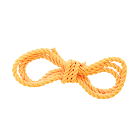 Camp Rope  3D Icon