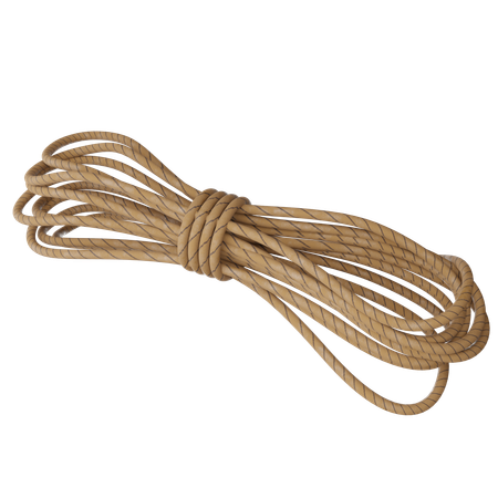 Camping Rope  3D Icon