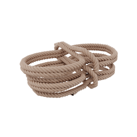 Camping Rope  3D Icon