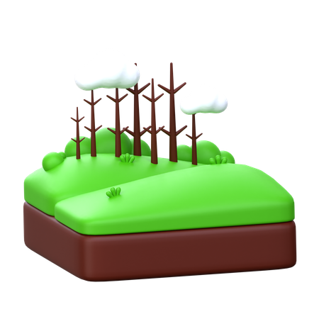 Campo forestal  3D Icon