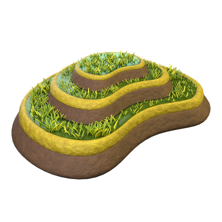 Campo de arroz mojado  3D Icon