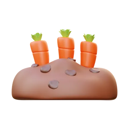 Campo de cenoura  3D Icon