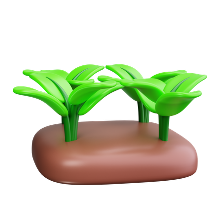 Campo de cultivo  3D Icon