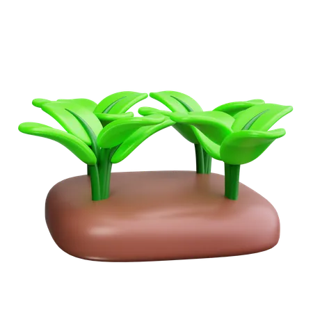 Campo de cultivo  3D Icon