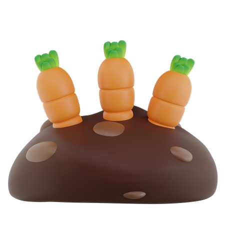 Campo de zanahorias  3D Icon
