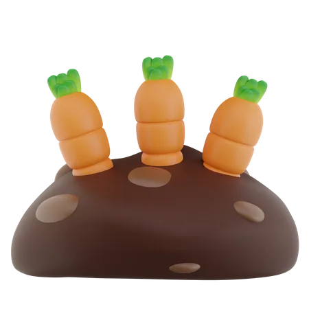 Campo de zanahorias  3D Icon