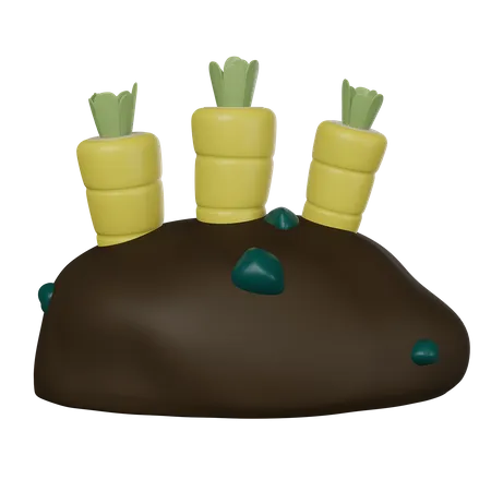 Campo de zanahorias  3D Icon