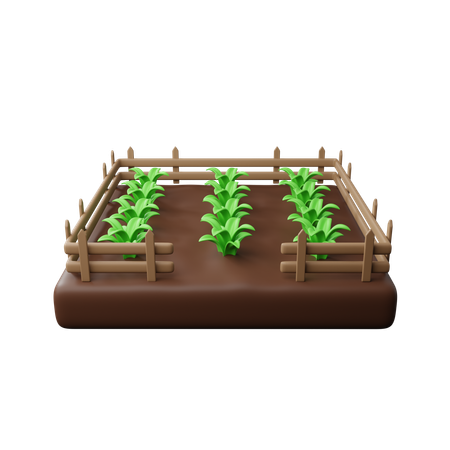 Campos agrícolas  3D Icon