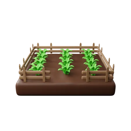 Campos de cultivo  3D Icon