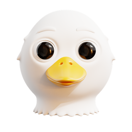 Canard  3D Icon