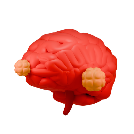 Cancer cerebral  3D Icon