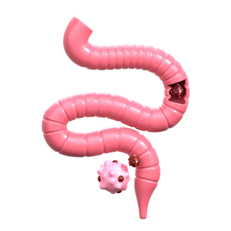 Cáncer de colon  3D Icon