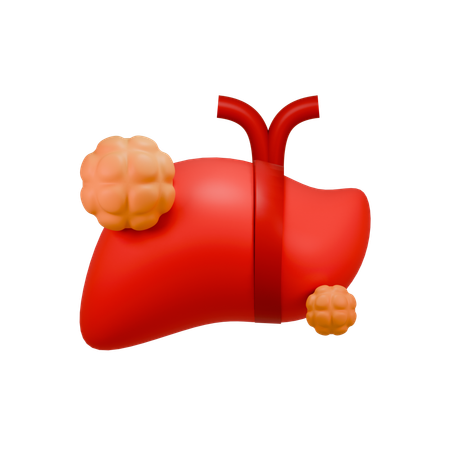 Cáncer de hígado  3D Icon