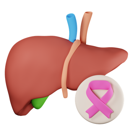 Cáncer de hígado  3D Icon