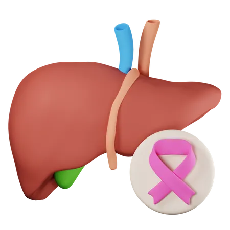 Cáncer de hígado  3D Icon