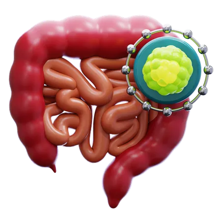 Cáncer de intestino  3D Icon