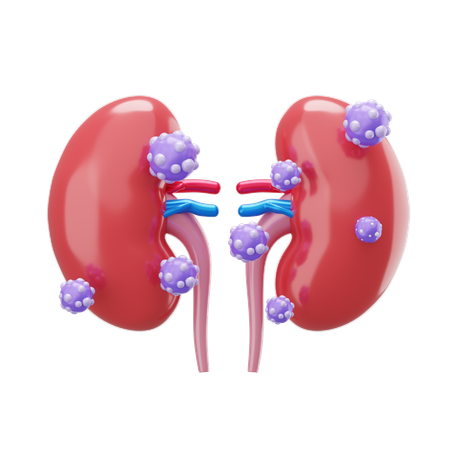 Cancer de RIÑON  3D Icon