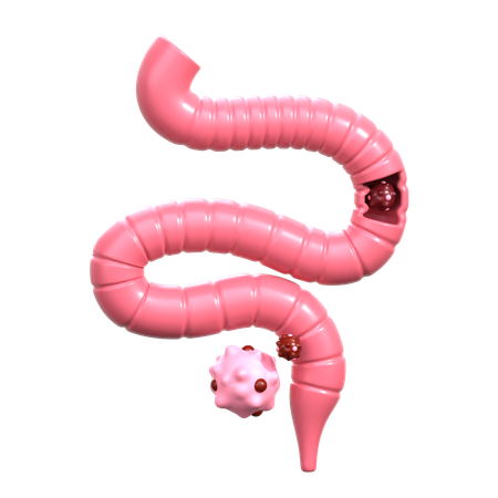 Cancer du colon  3D Icon