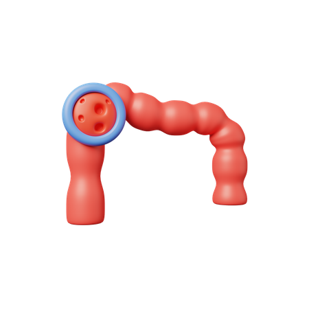Cancer du colon  3D Icon
