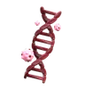 Cancer in DNA