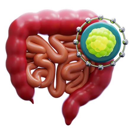 Câncer de intestino  3D Icon