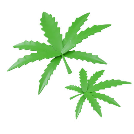 Cannabis Leaf  3D Icon