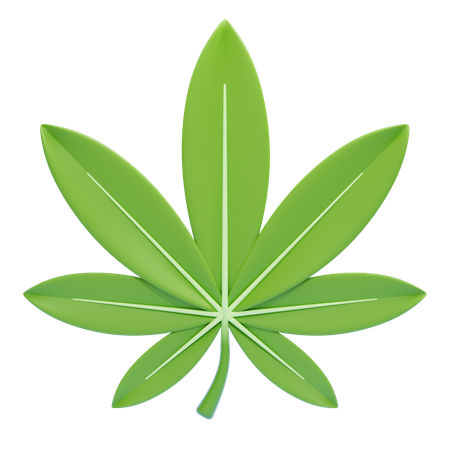 Cannabis Leaf  3D Icon