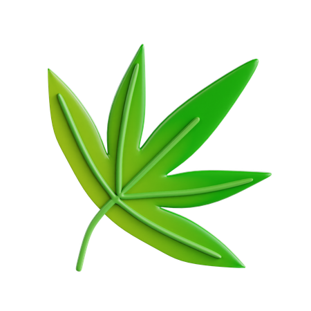 Cannabis Leaf  3D Icon