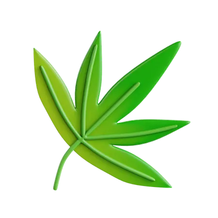 Cannabis Leaf  3D Icon