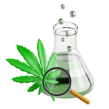 Recherche sur le cannabis  3D Icon