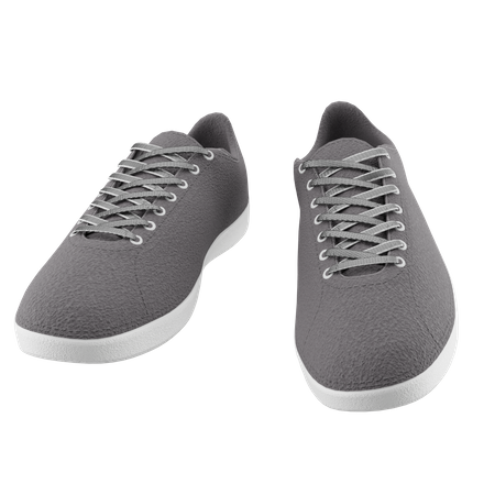 Canvas Mens Shoes  3D Icon