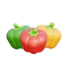 Capsicum