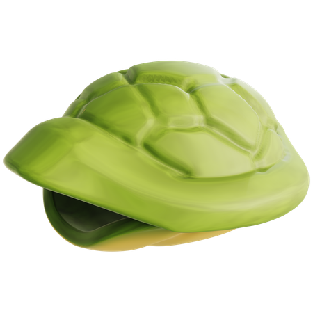 Carapace de tortue  3D Icon