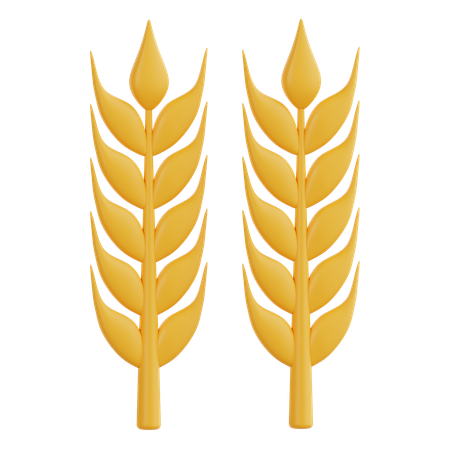 Carbohidratos  3D Icon