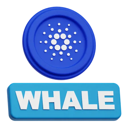 Baleia cardano  3D Icon