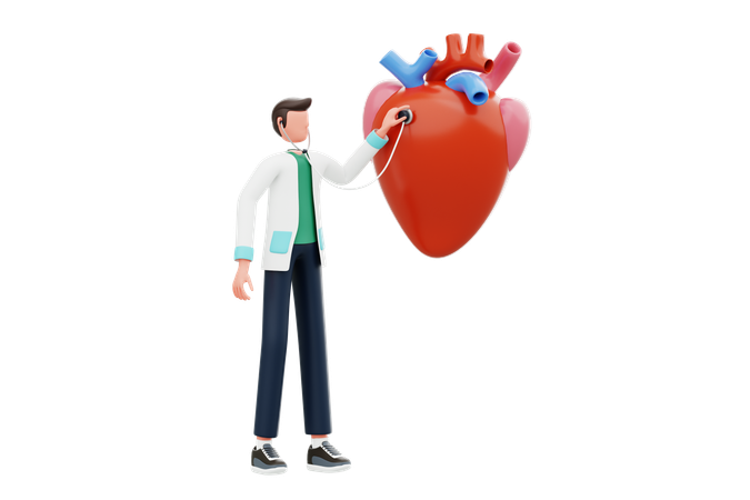 Cardiologist Checking Heartbeat  3D Illustration