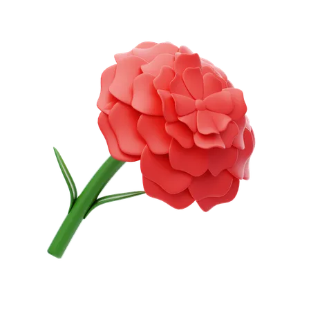 Carnation  3D Icon