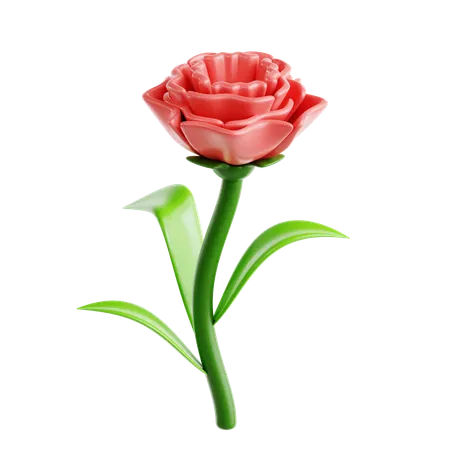 Carnation  3D Icon