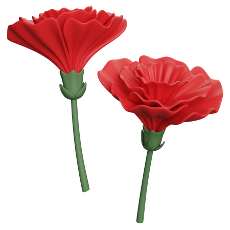 Carnation  3D Icon