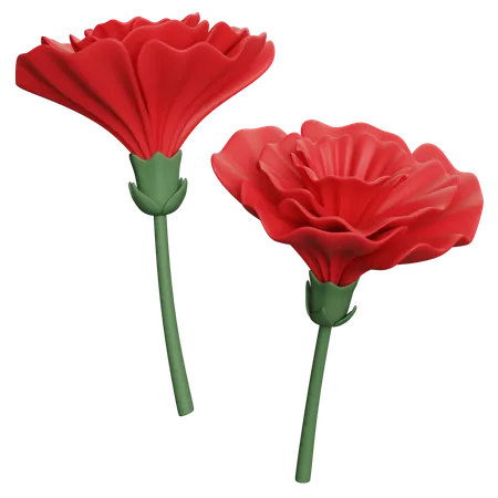 Carnation  3D Icon