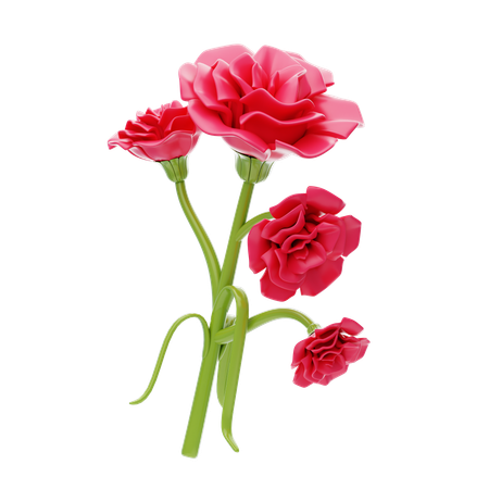 Carnation  3D Icon