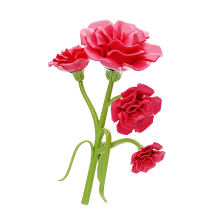 Carnation  3D Icon