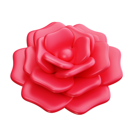 Carnation  3D Icon