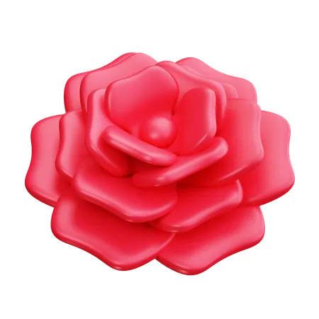 Carnation  3D Icon