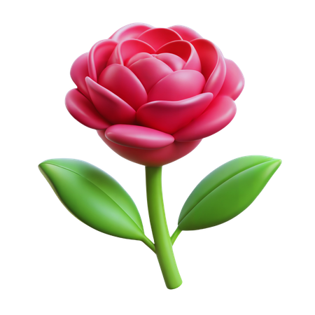Carnation flower  3D Icon