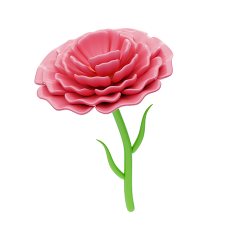 Carnation Ruffle  3D Icon